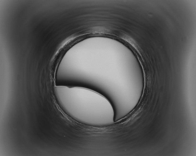 X0000085081115200703051103