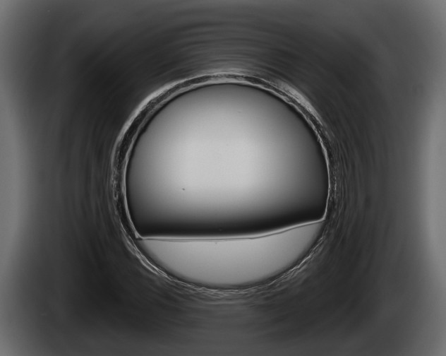 X0000085081116200703051103