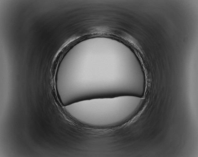 X0000085081117200703051103