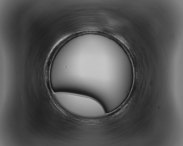 X0000085081119200703051103