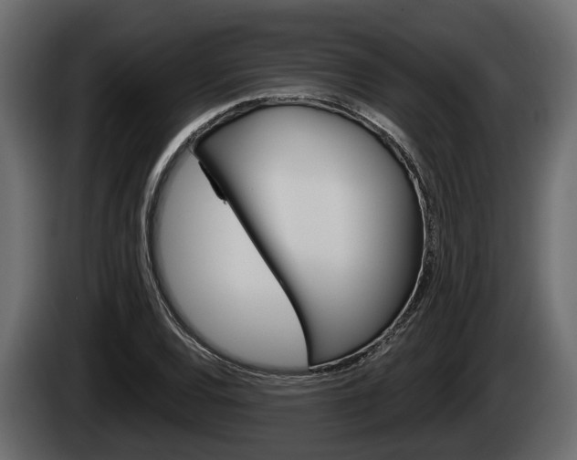X0000085081120200703051103