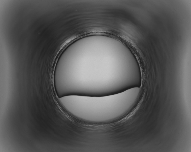 X0000085081121200703051103