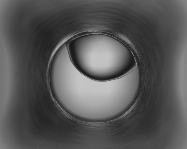 X0000085081122200703051103