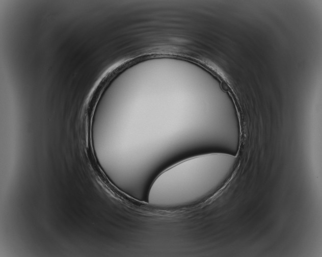 X0000085081123200703051103