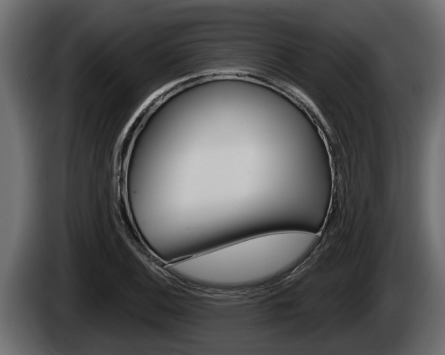 X0000085081124200703051103