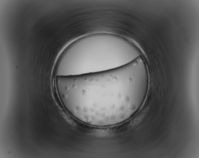 X0000085081125200703051103