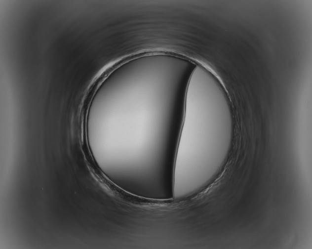 X0000085081127200703051103