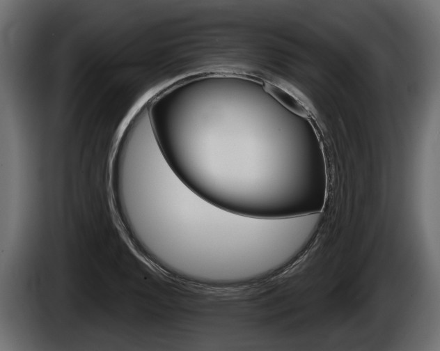 X0000085081128200703051103