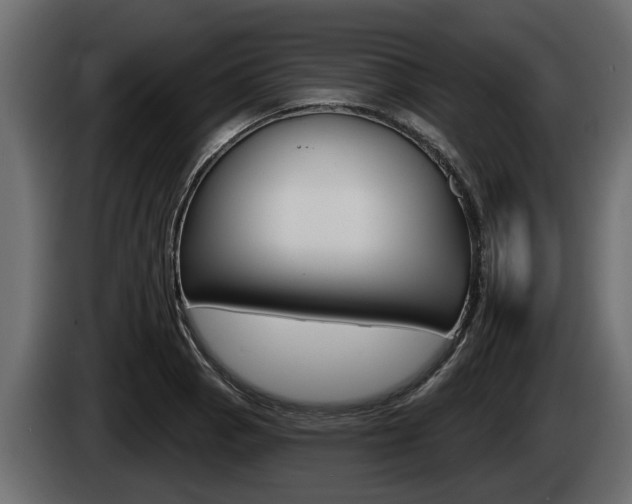 X0000085081129200703051103