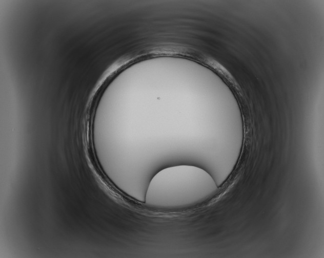 X0000085081130200703051103