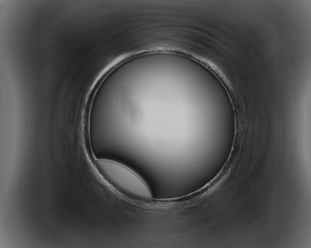 X0000085081134200703051103