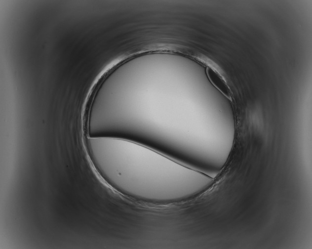 X0000085081135200703051103