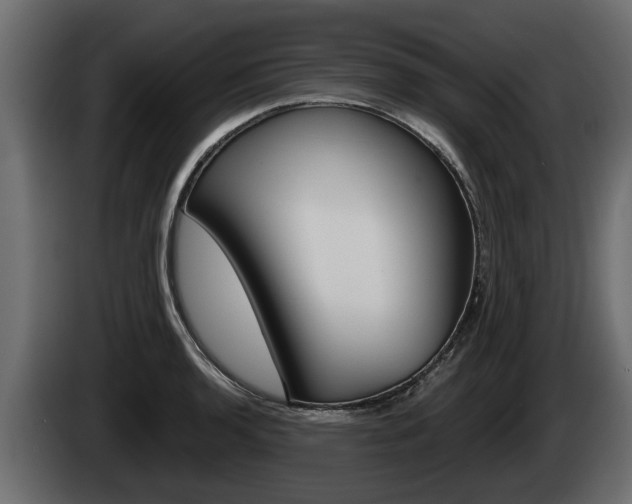 X0000085081136200703051103