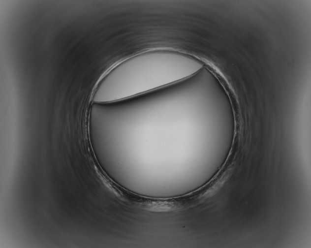 X0000085081137200703051103