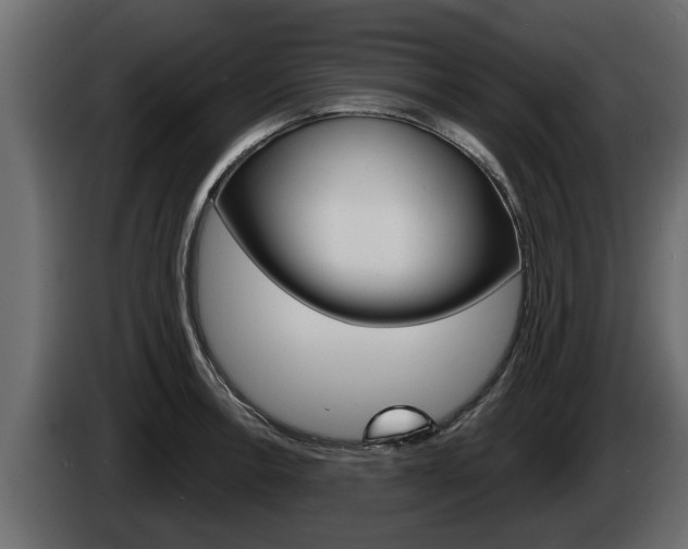 X0000085081138200703051103