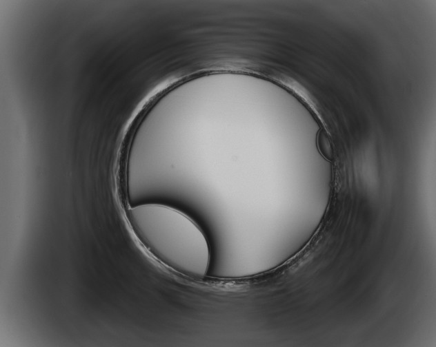 X0000085081139200703051103