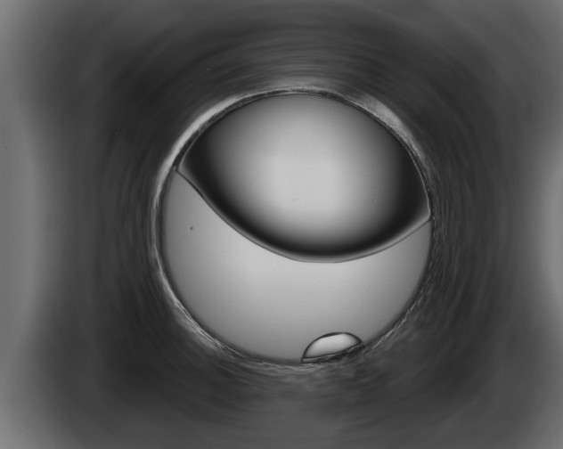 X0000085081140200703051103