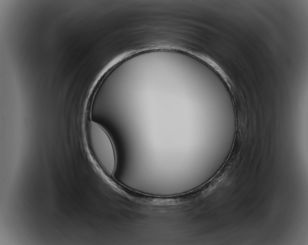 X0000085081142200703051103