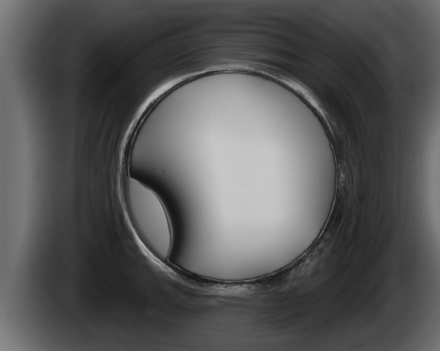 X0000085081143200703051103