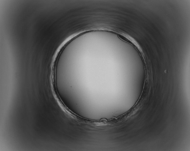 X0000085081144200703051103
