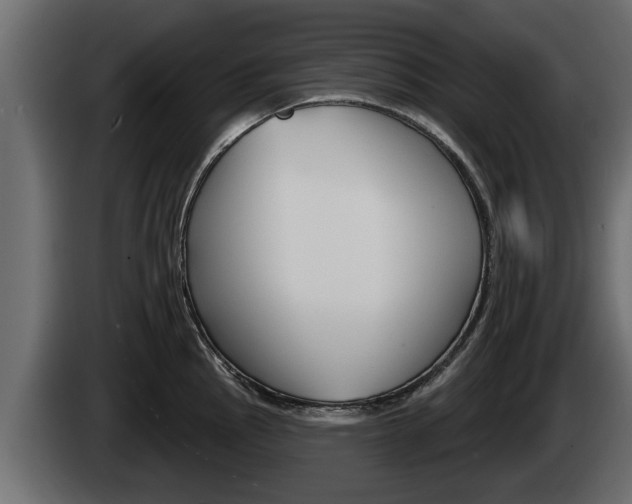 X0000085081145200703051103