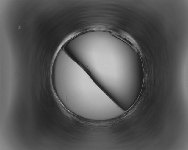 X0000085081146200703051103
