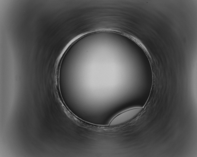 X0000085081148200703051103