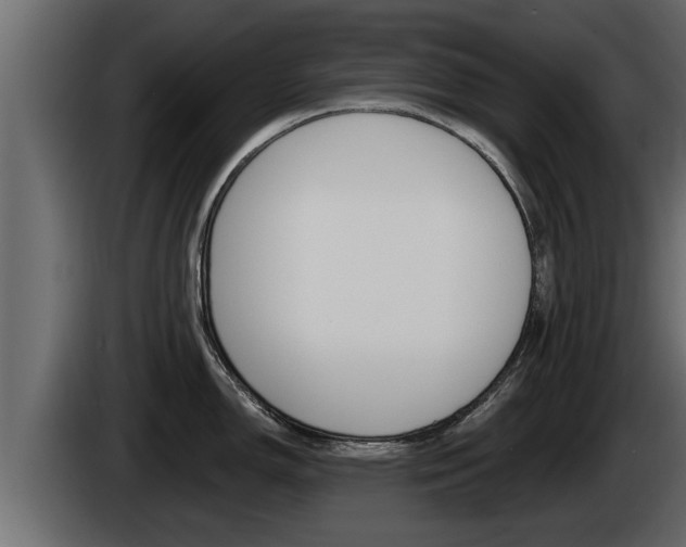 X0000085081150200703051103