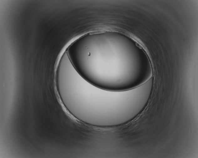 X0000085081152200703051103