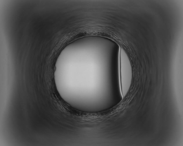 X0000085081153200703051103