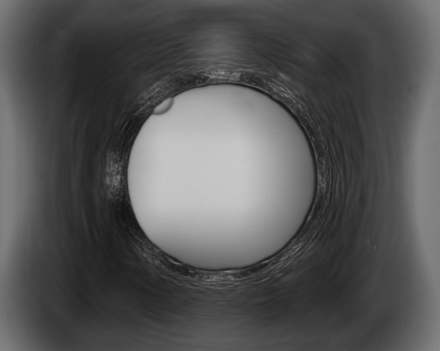 X0000085081154200703051103