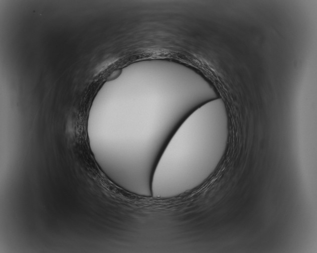 X0000085081158200703051103