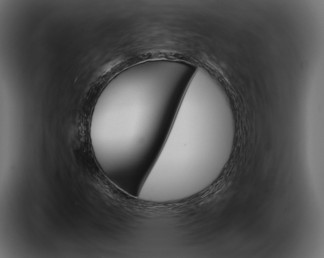 X0000085081159200703051103