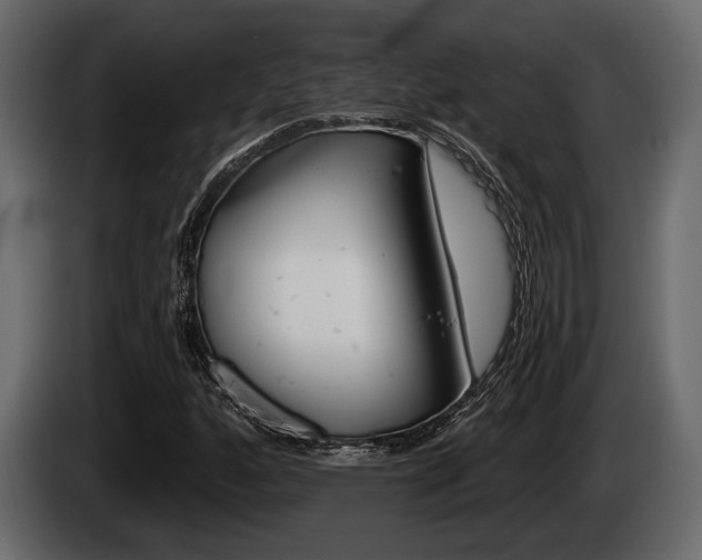 X0000085081160200703051103