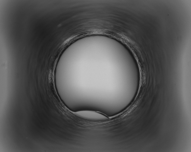 X0000085081161200703051103