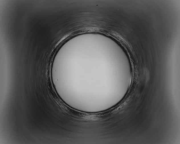 X0000085081162200703051103