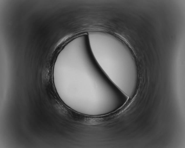 X0000085081163200703051103