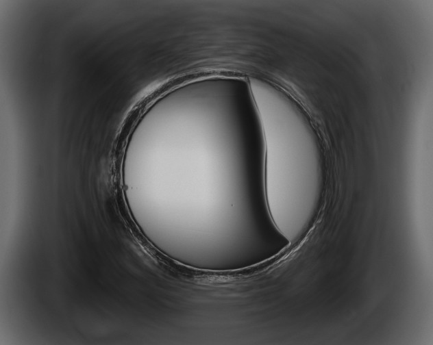 X0000085081164200703051103