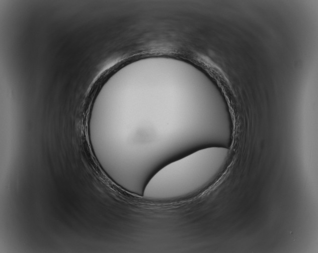 X0000085081166200703051103