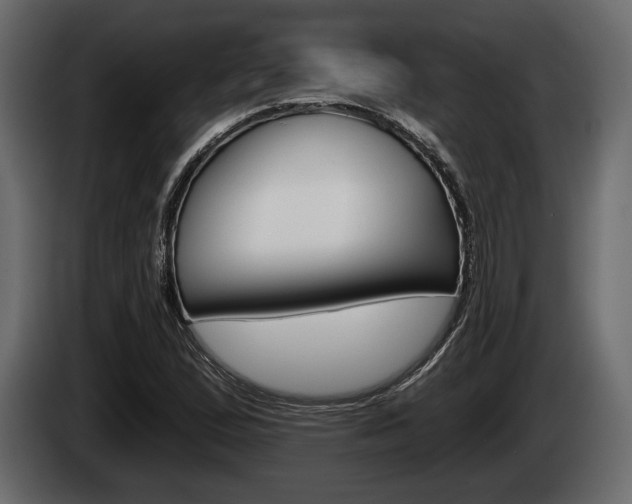 X0000085081167200703051103