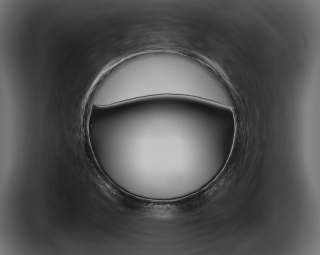 X0000085081168200703051102