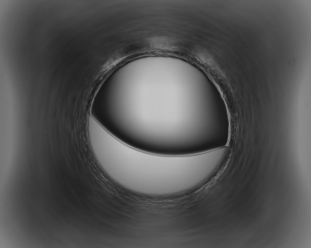 X0000085081169200703051102