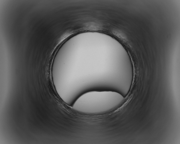 X0000085081170200703051102