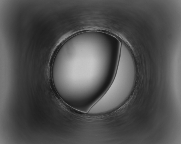 X0000085081173200703051102