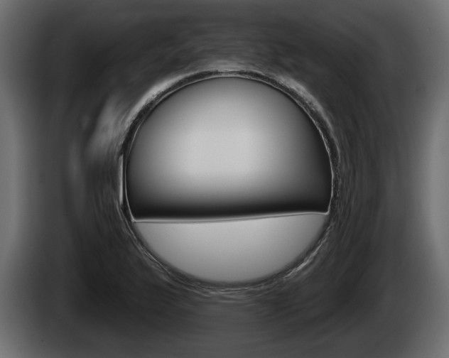 X0000085081175200703051102