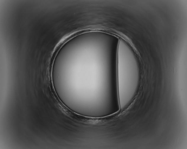 X0000085081176200703051102