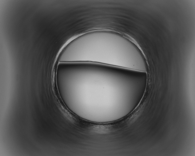 X0000085081179200703051102