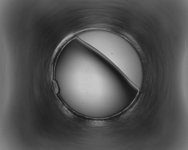 X0000085081180200703051102