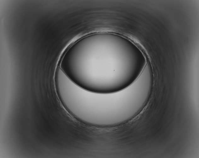 X0000085081181200703051102