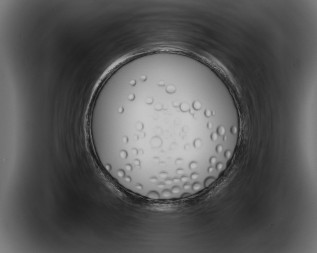 X0000085081182200703051102